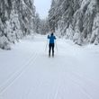 Auf den Loipen kannst du die verschneite Winterlandschaft des Bayerischen Waldes erkunden.