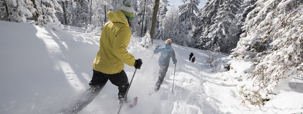 General information about your stay at Ferienwohnung-Pension Sladek