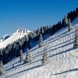 Information about the ski resort Les Paccots