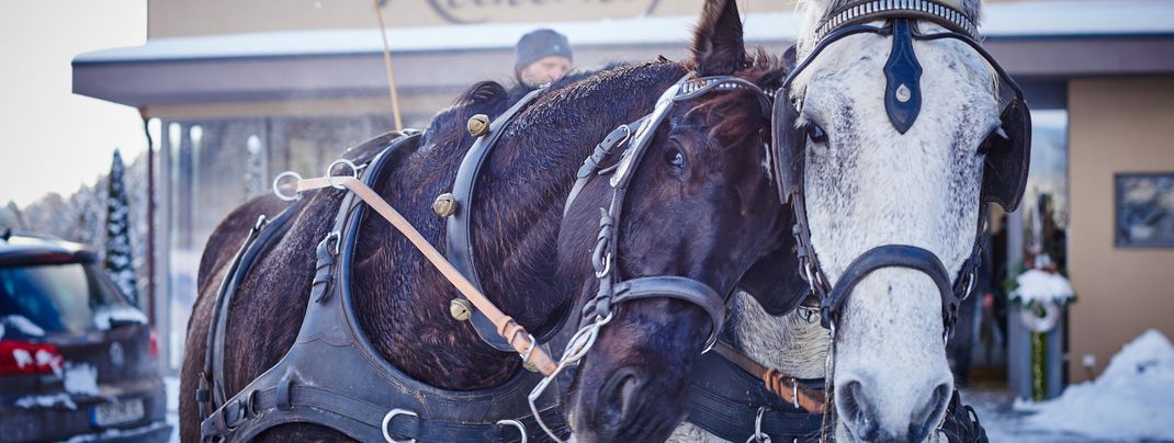 General information about your stay at Hotel Reinerhof