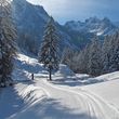 Information on Cross-Country Skiing at Grimmialp Diemtigtal