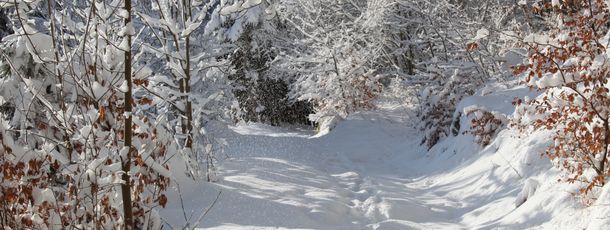 General information about your stay at Haus Maria