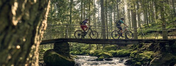 Urlaubsempfehlung: die geführten Mountainbike Touren von Bodenmais