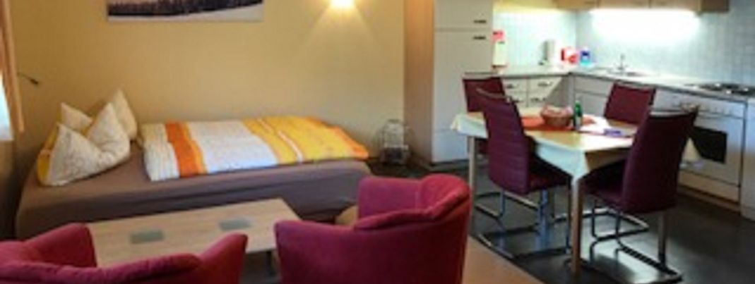 Wohnküche, bei 3-4 Personenbelegungauch als Schlafbereich mit neuer Couch