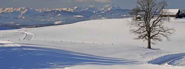 Langlauf mit Blick auf die Nagelfluhkette im Voralpenland bei Isny im Allgäu