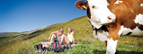 General information about your stay at Fewo Haus Enzian