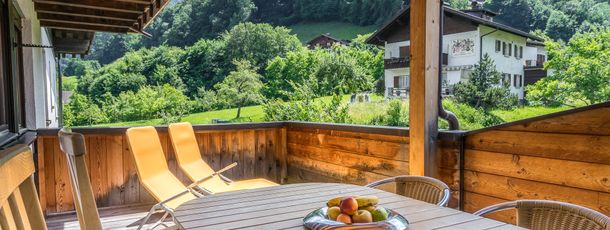 General information about your stay at AlpenApart Haus Engstler