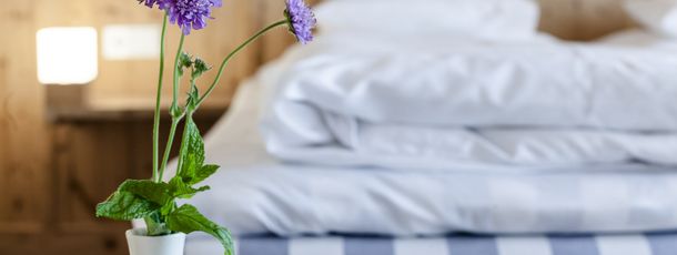 General information about your stay at Hotel Drumlerhof