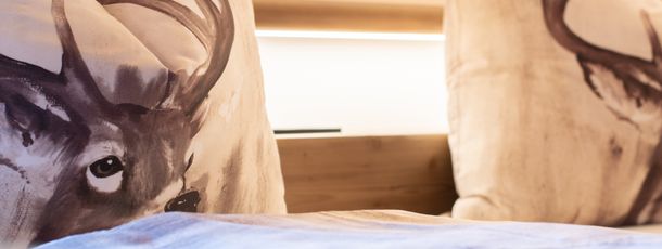 Detaillierte Infos zur Unterkunft Chalet und Appatrements Hauserhof