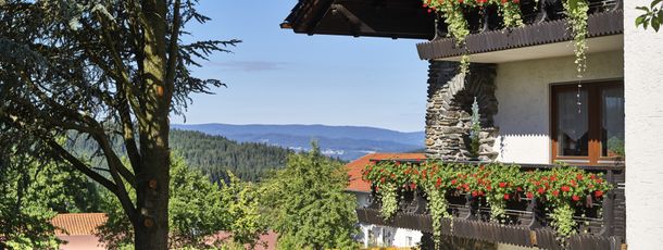 Detaillierte Infos zur Unterkunft Ferienhaus Fidelis