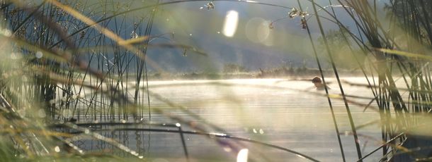 Detaillierte Infos zur Unterkunft Seeappartements Überwasser