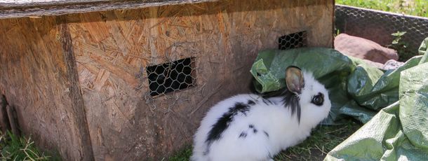 Detaillierte Infos zur Unterkunft Riederhäusl