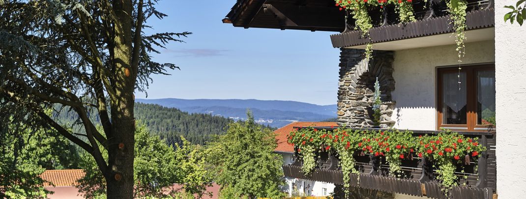 Detaillierte Infos zur Unterkunft Ferienhaus Fidelis