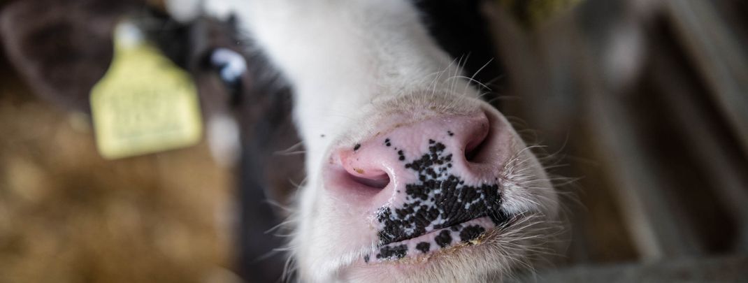 Detaillierte Infos zur Unterkunft Romantik Hotel & Restaurant Stafler