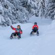 The six-kilometer-long toboggan run in See is one of the most beautiful in the region.
