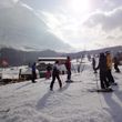 Information about the ski resort Grindelwald - Wengen