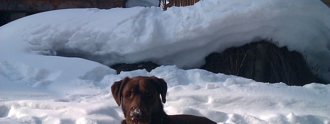 General information about your stay at Chalet Waldwinkl