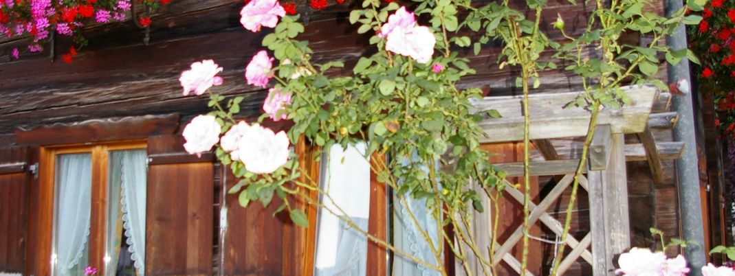 General information about your stay at Fewo Markus Kieber