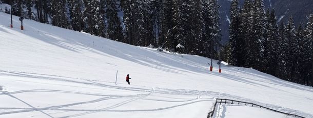 Information about the ski resort Bergeralm