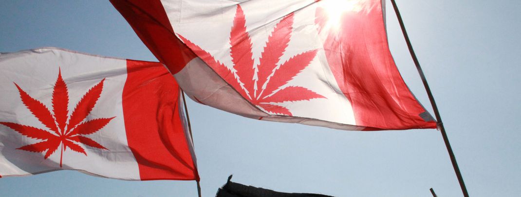 Following Legalisation: Banff to Bar Cannabis Consumption