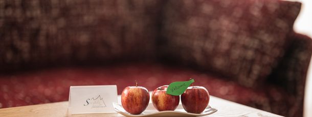 General information about your stay at Hotel Seespitz