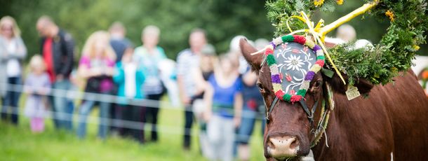 Detaillierte Infos zur Unterkunft Riederhäusl