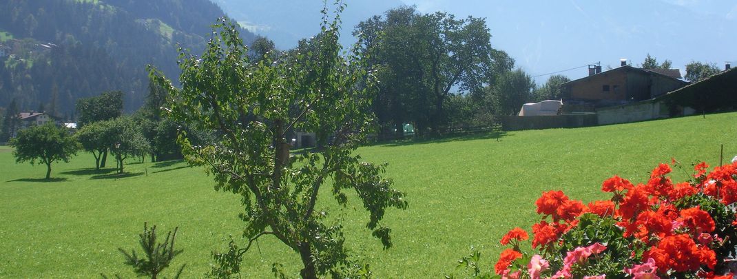 General information about your stay at Appartement Landhaus Stefanie