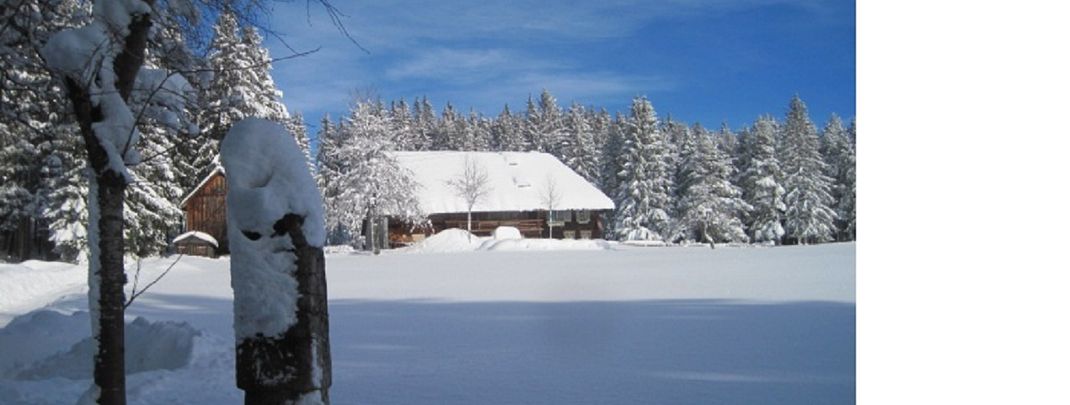 General information about your stay at Haus Janßen-Wehrle