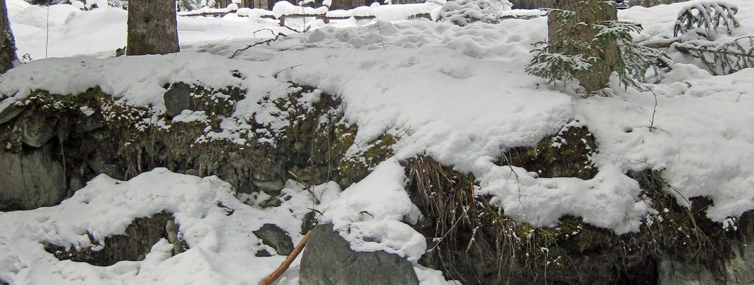 Detaillierte Infos zur Unterkunft Almliesl JOCH-174