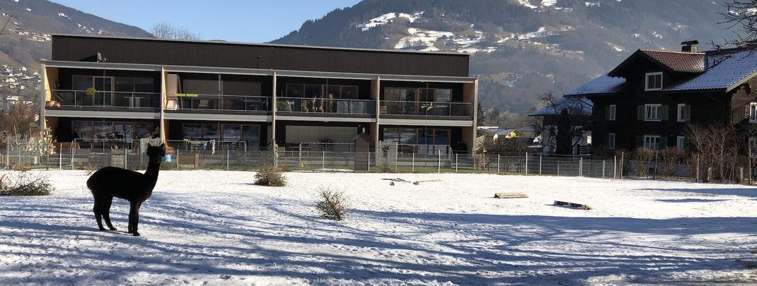 Detaillierte Infos zur Unterkunft AlpenApart Montafon - Appartement Sennerei