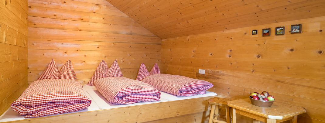 Detaillierte Infos zur Unterkunft AlpenApart Montafon - Bitschweil Hüsle