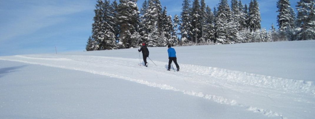 Detaillierte Infos zur Unterkunft Haus Janßen-Wehrle