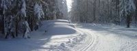 Information on Cross-Country Skiing at Jöhstadt