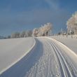 Information on Cross-Country Skiing at Winterberg Altastenberg