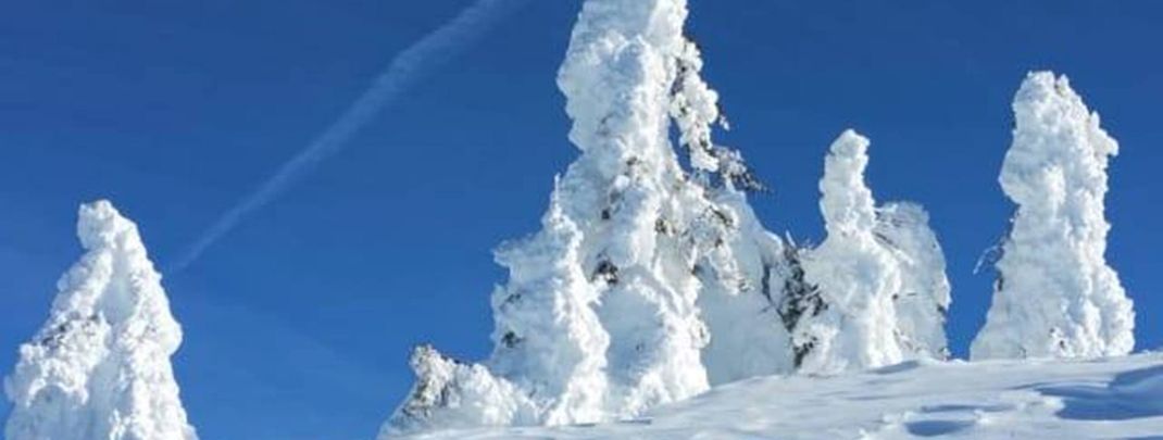 General information about your stay at KOMFORT-FERIENWOHNUNGEN i. TIROL HAUS DREER