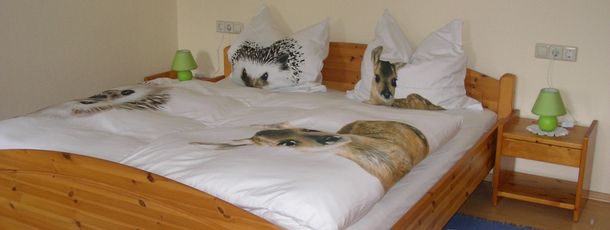 2.Schlafzimmer im OG-Durchgangsschlafzimmer