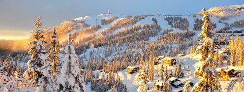 Sechs Weltcuprennen werden heuer im norwegischen Kvitfjell ausgetragen.