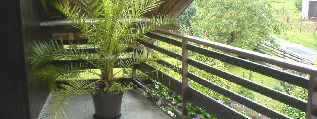 General information about your stay at Privat Apartma Ulrych