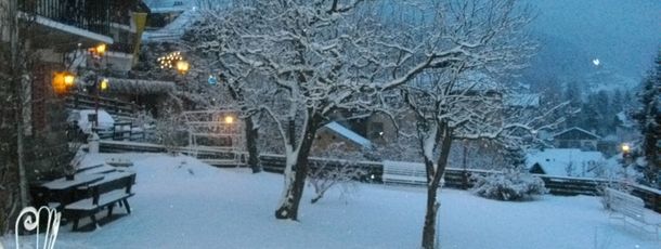 General information about your stay at Hotel Villa Emilia