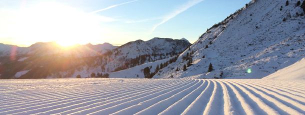 Information about the ski resort Riesneralm