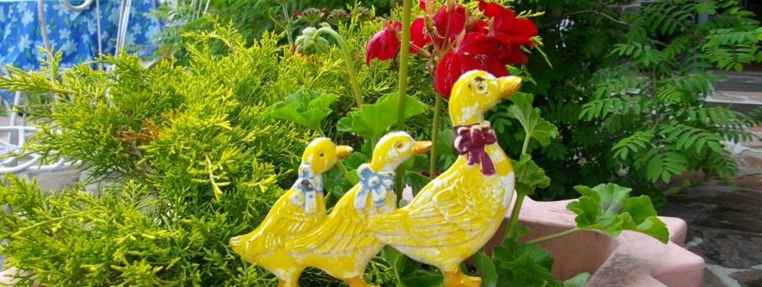 General information about your stay at Hotel Villa Emilia