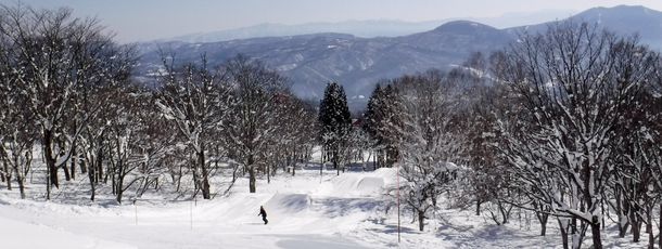 During wintertime, Myoko Suginohara offers snow in abundance.