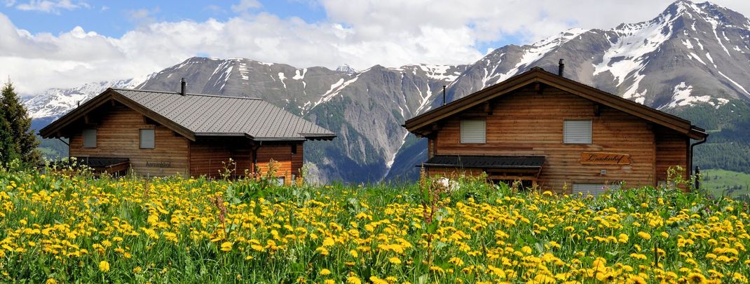 General information about your stay at Chalet Laackerhof