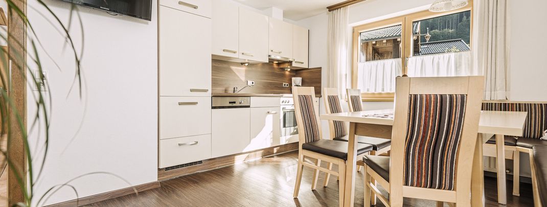 General information about your stay at Apartment Elisabeth Aschenwald