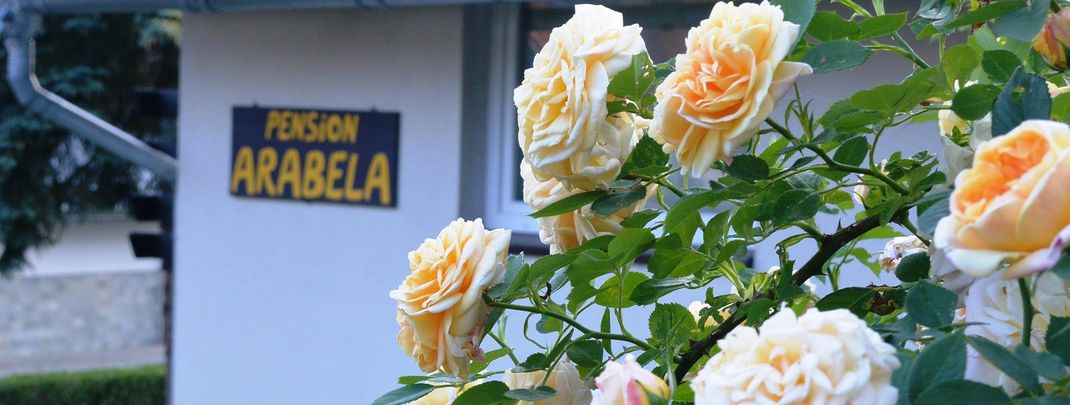 General information about your stay at Pension Arabela