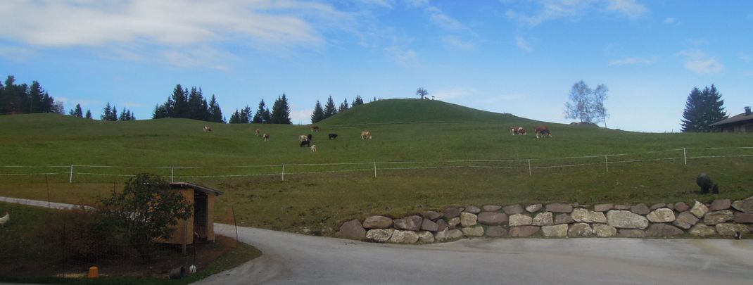 Detaillierte Infos zur Unterkunft Apartement Wiemhof