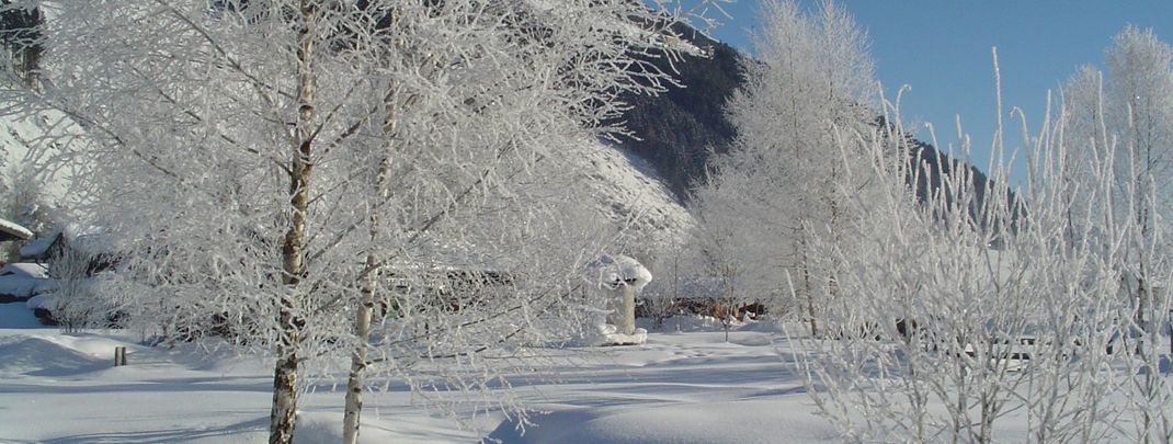 Detaillierte Infos zur Unterkunft Appartements Edelweiss