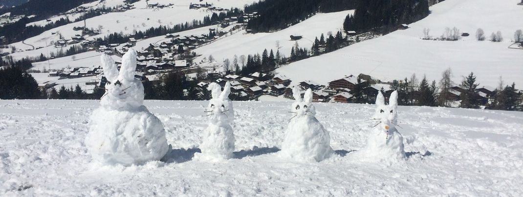 Detaillierte Infos zur Unterkunft Bergwald Appartements Alpbach