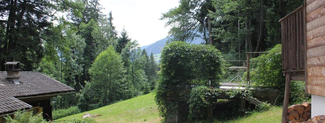 Detaillierte Infos zur Unterkunft Chalet Waldwinkl