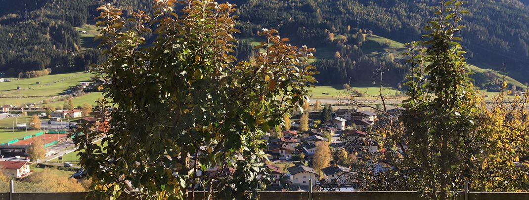 Detaillierte Infos zur Unterkunft Ferienwohnung Trattner